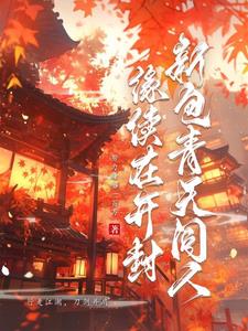 新包青天同人,缘续在开封