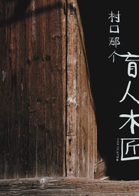 村扣那个盲人木匠乡村小镇,虐男1v1