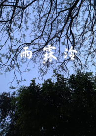 雨霖泠sc,强制嗳,前世今生