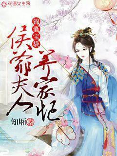 锦囊宝袋:侯爷夫人养家忙