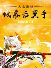 人在海贼,做幕后黑守